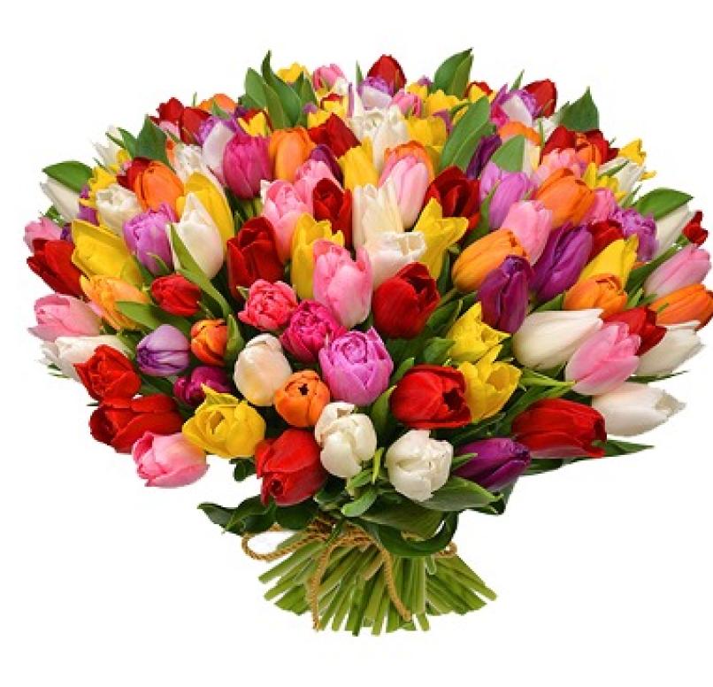 Lietuvos energetikų diena!